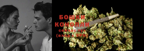ПСИЛОЦИБИНОВЫЕ ГРИБЫ Баксан