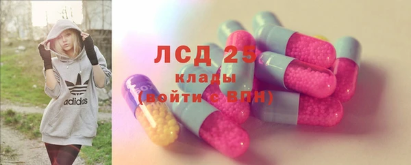 ПСИЛОЦИБИНОВЫЕ ГРИБЫ Баксан