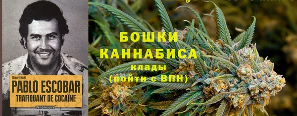 ПСИЛОЦИБИНОВЫЕ ГРИБЫ Баксан